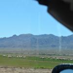 Laughlin_4_0065 (April 21, 2012)